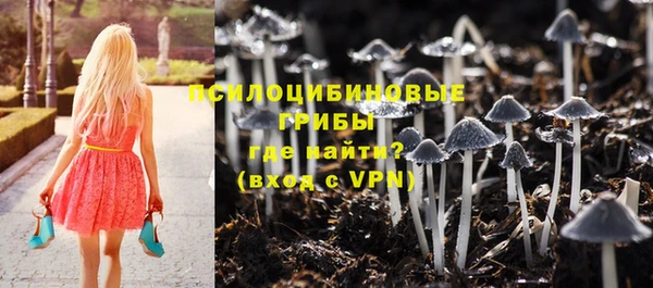 гашик Приозерск