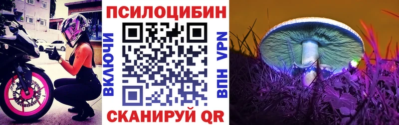 KRAKEN ссылка Харовск Галлюциногенные грибы Psilocybine cubensis где продают наркотики